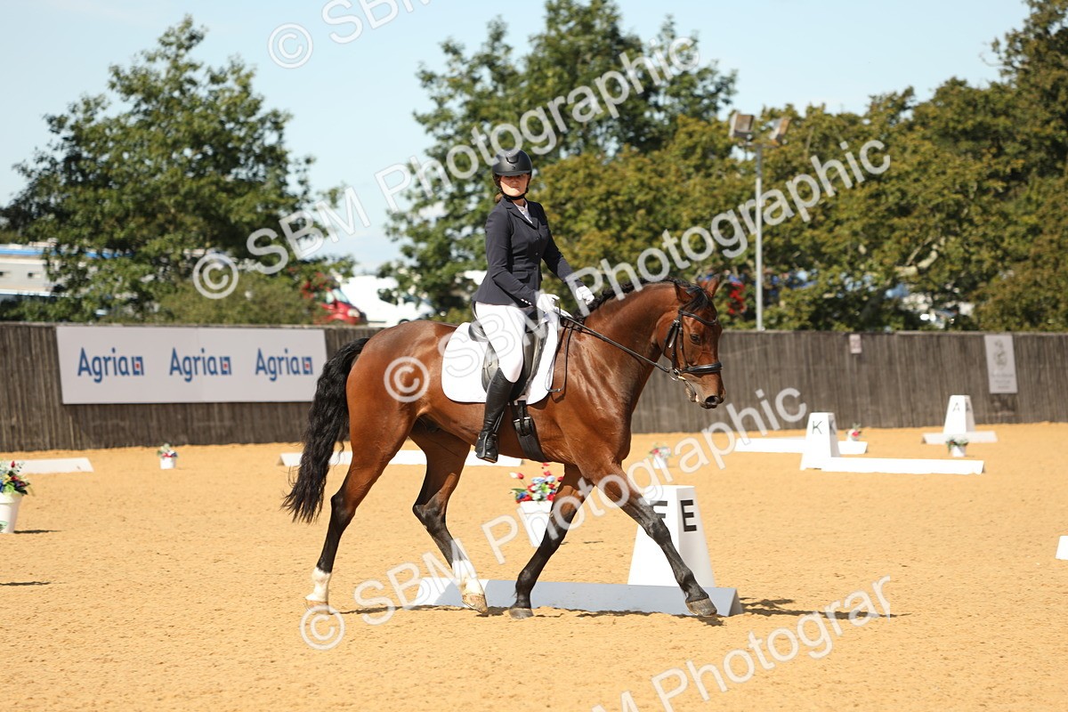 SBM_22284 - D17 - Grand Tour Championship - Novice 27