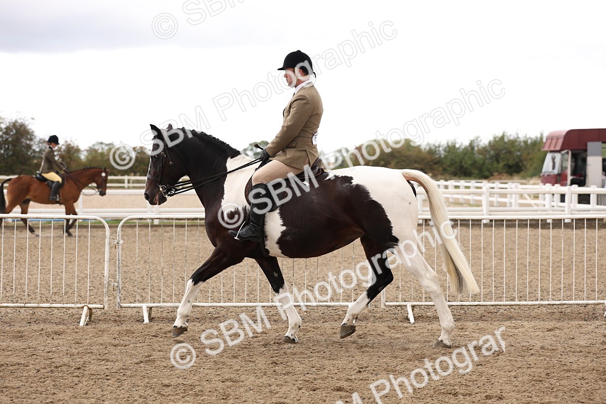 SBM_02936 - Class 53 - Ridden Competition Horse/Pony