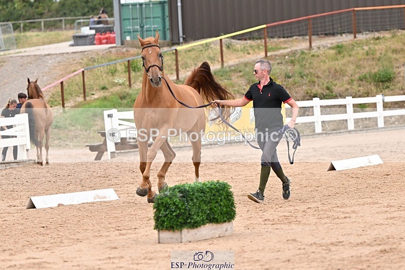 250716-160620-02408 - Trot Up 3.30 to 4.30