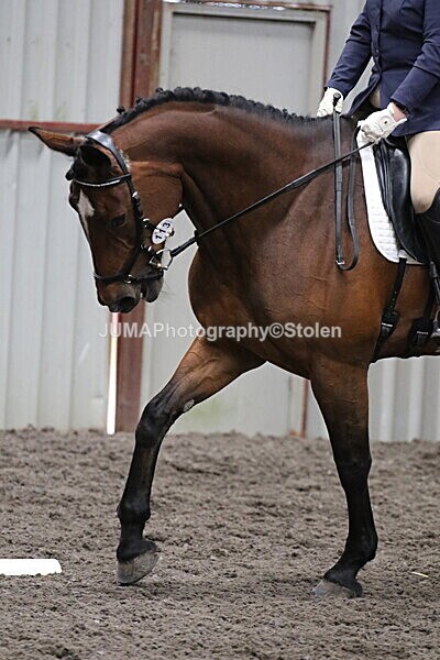 SIAL4753 - CAbin Dressage 5th july 2025