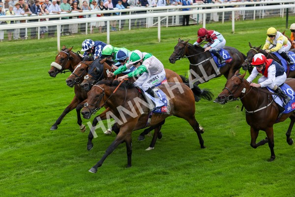230823-Race 1-Equilateral-4051 - Race 1 1.50pm Sky Bet And Symphony Group Handicap