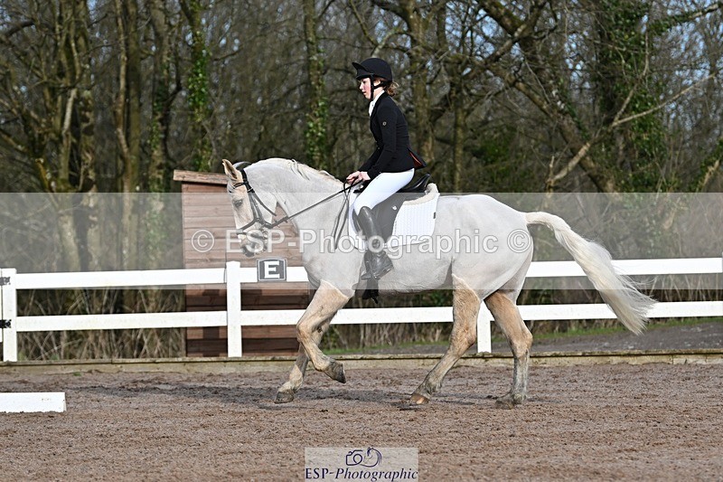250125-111439-00296 - Dressage - CT Class 5 BE95 (90cm)