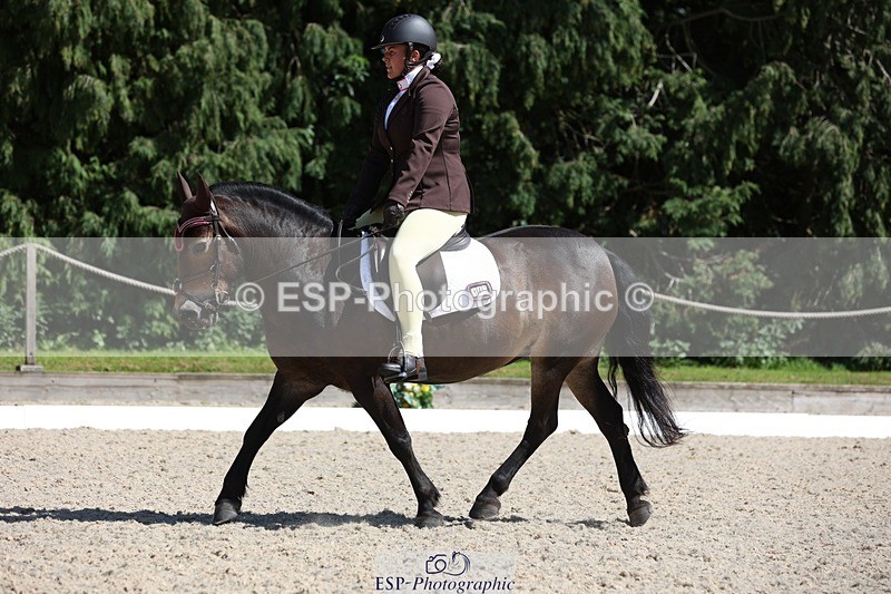 230811-144312-02083 - Cls 1 Prelim Bronze 13.30 to 14.50 break