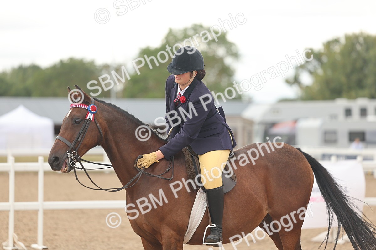 SBM_16056 - Class 311 - Ridden Show pony-Show hunter Pony