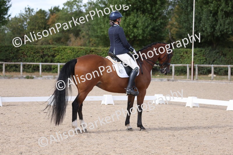 20250820-1558 - Class 20 - Medium 4