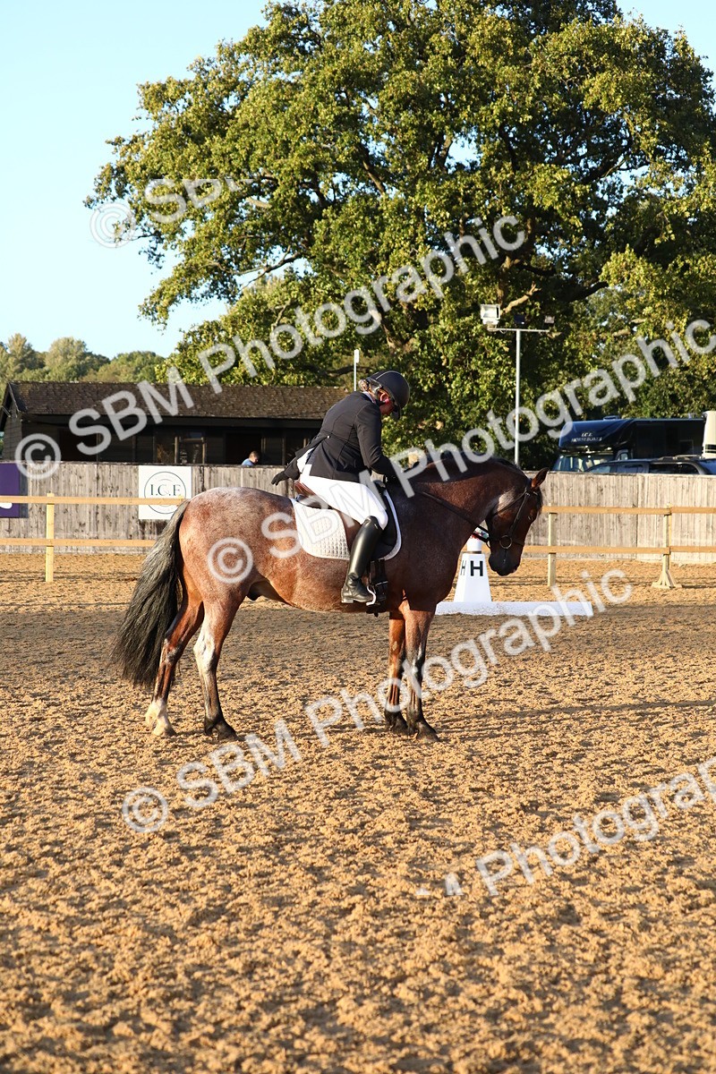 SBM_31811 - D11 - Small Tour Championship Prelim 1