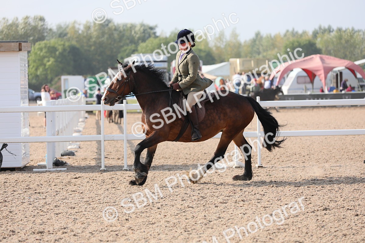 SBM_10922 - Class 304 Ridden Part Bred Horse/Pony