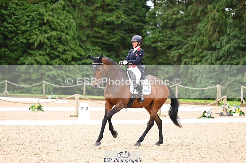 240524-092047-07804 - 504-LORDSHIPS_GRAFFALO-Rosalind_Canter
