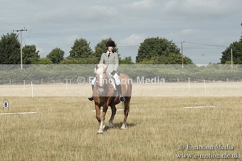 _PJP5572 - Dressage Classes BVRC Show 2018