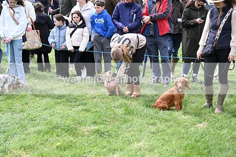 WJ6_8201 - Class 4 Prettiest Bitch