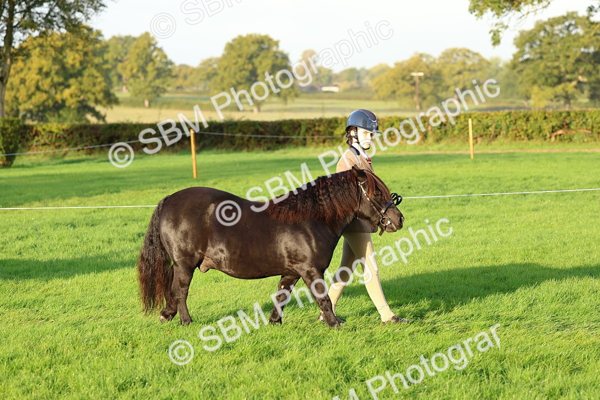 SBM_32754 - S8 - Best Turned Out