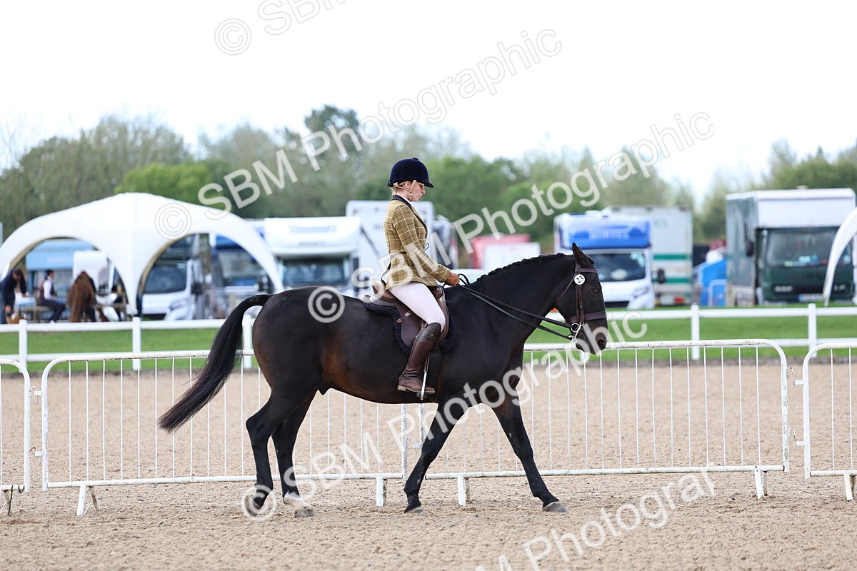 SBM_10031 - Class 304 - Ridden Part Bred Horse Pony