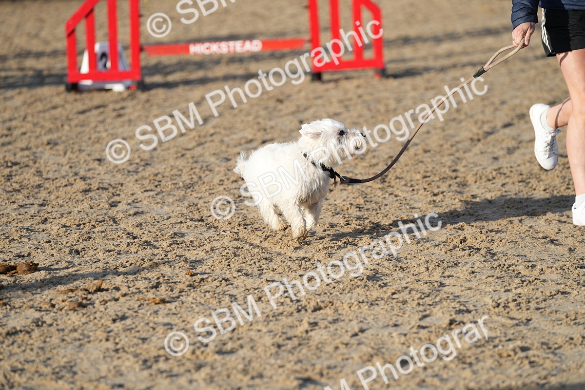 SBM_29429 - J44 - Horse & Hound Open 70cm