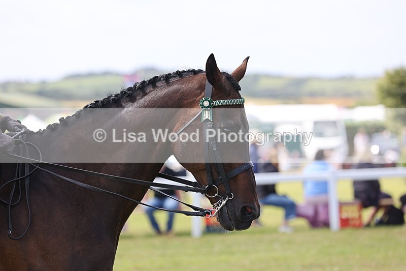 JPP_1349 - Class 17: Cornish Combination Open