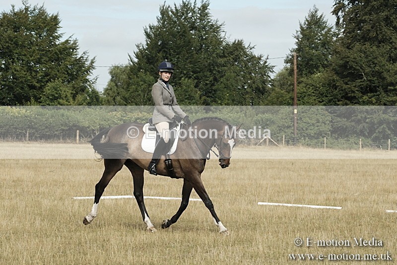 _PJP5669 - Dressage Classes BVRC Show 2018