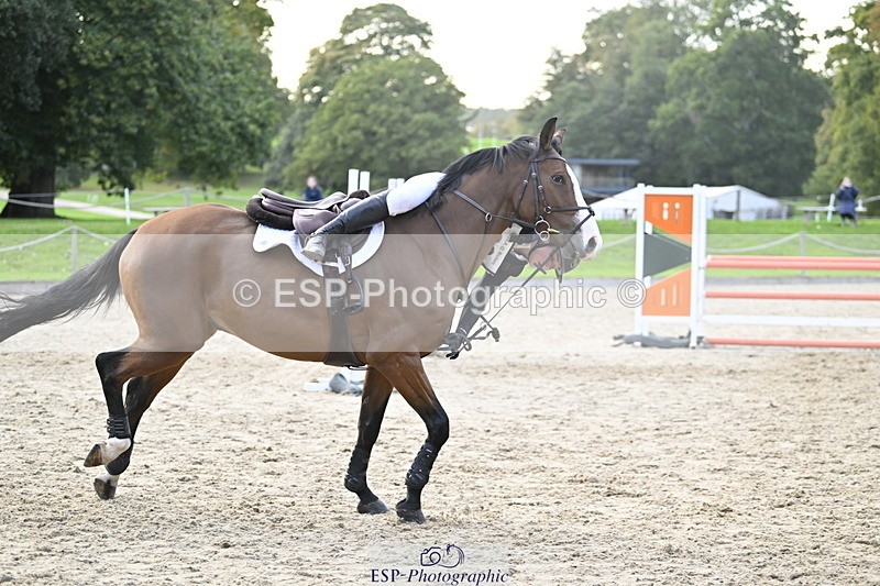 251005A-180311-05560 - Cls 12 Adv 1.10m Ind