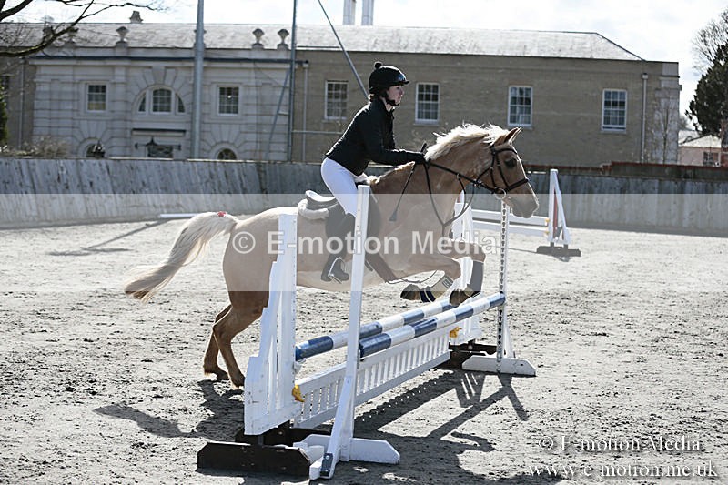 BVRC SJ 170319 264 - Bourne Valley Riding Club Showjumping 17/03/19