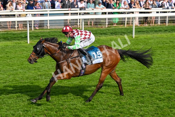 170524-Race 6-Riot-8536 - Race 6 4.45pm Yorkshire Equine Practice Handicap