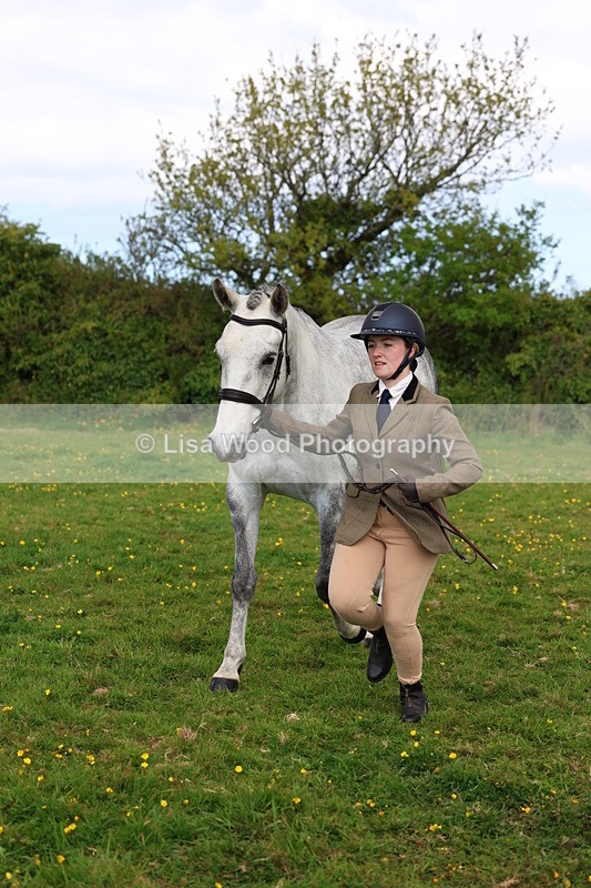 3E7A0543 - Class 20: Sports Horse