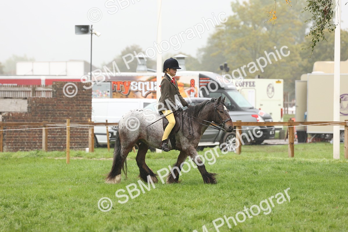 SBM_72834 - S70 - Traditional Cob Ridden