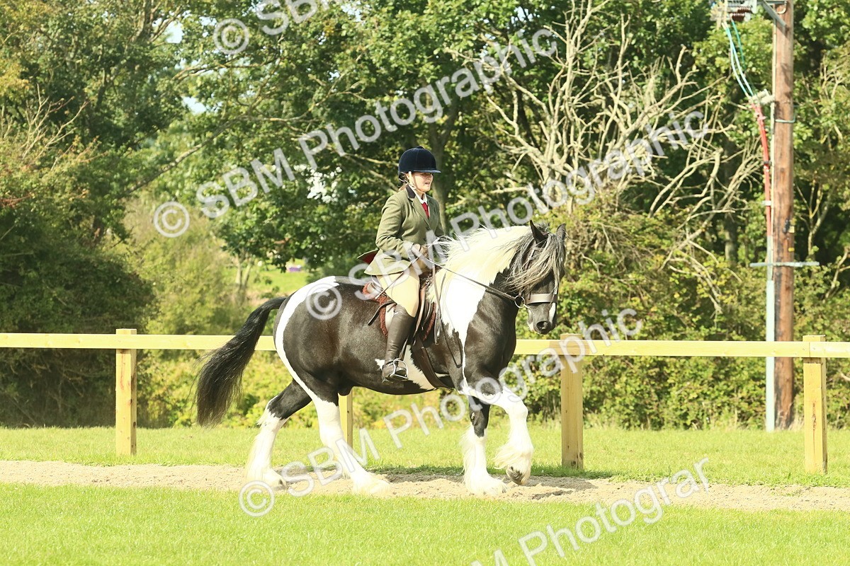 SBM_67442 - S56 - Coloured Pony Ridden
