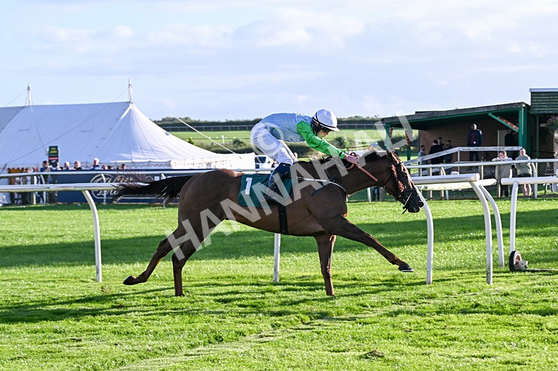 080926-Race 8-Zimmerman-3538 - Race 8 5.51pm Racing Again 30th September Amateur Jockeys' Handicap