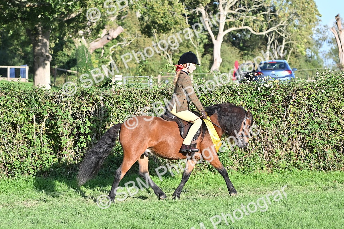 SBM_52293 - First Ridden Supreme Championship