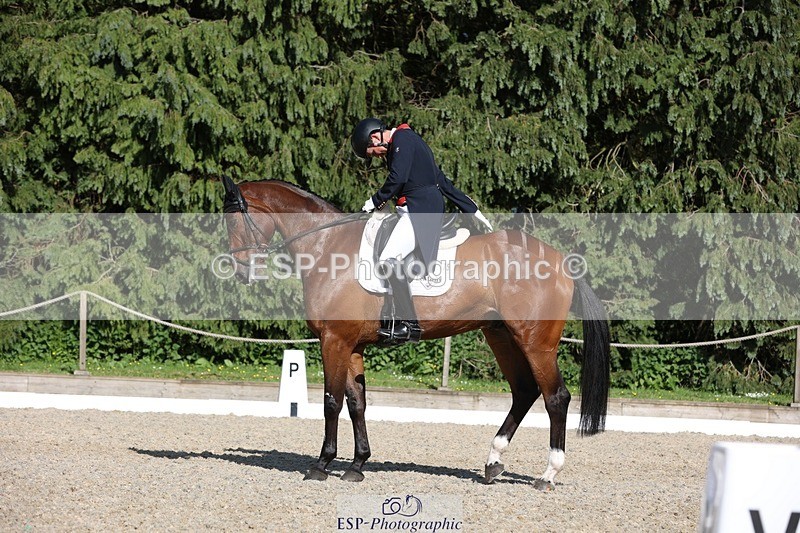 230526-170943-07916 - 175-MONBEG_EQUITY-Tom_McEwen-WEDTrotUp+DR