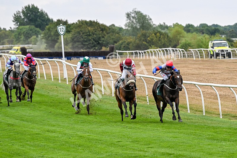 170826-Race 3-Quercus-9322 - Race 3 15.15pm Chapman Milestones Celebration, Thank You NHS Handicap