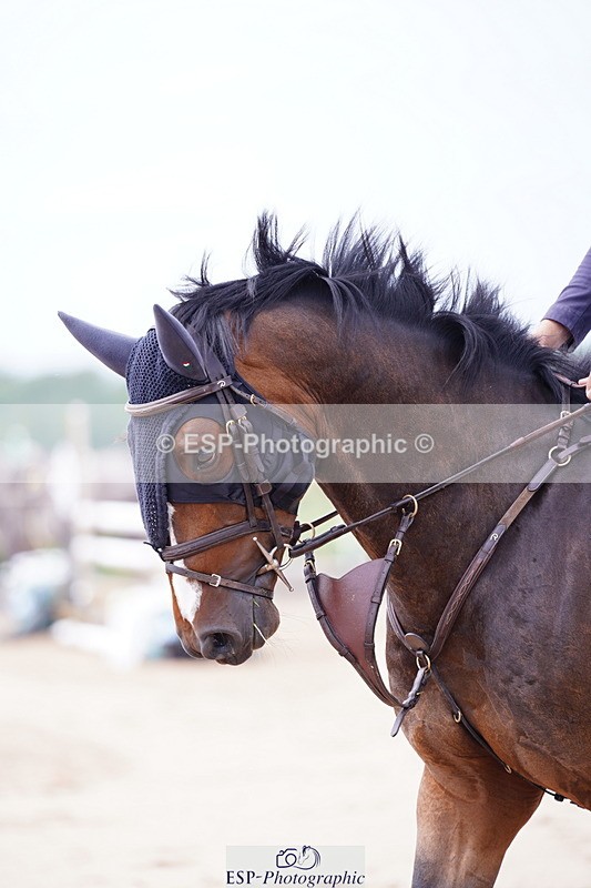 240803A-135146-08161 - Cls 31 4 Yr Old Champs