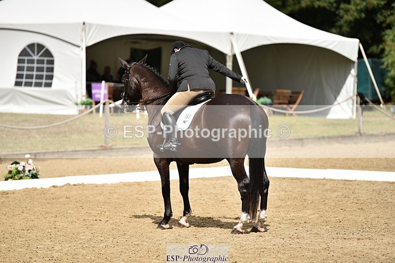 140110A-042922-12165 - 160-Rosey.Bradburn-High.Spirits.II