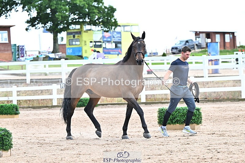 240718A-105328-02050 - Trot Up 2pm to 3pm - This folder is not in time order