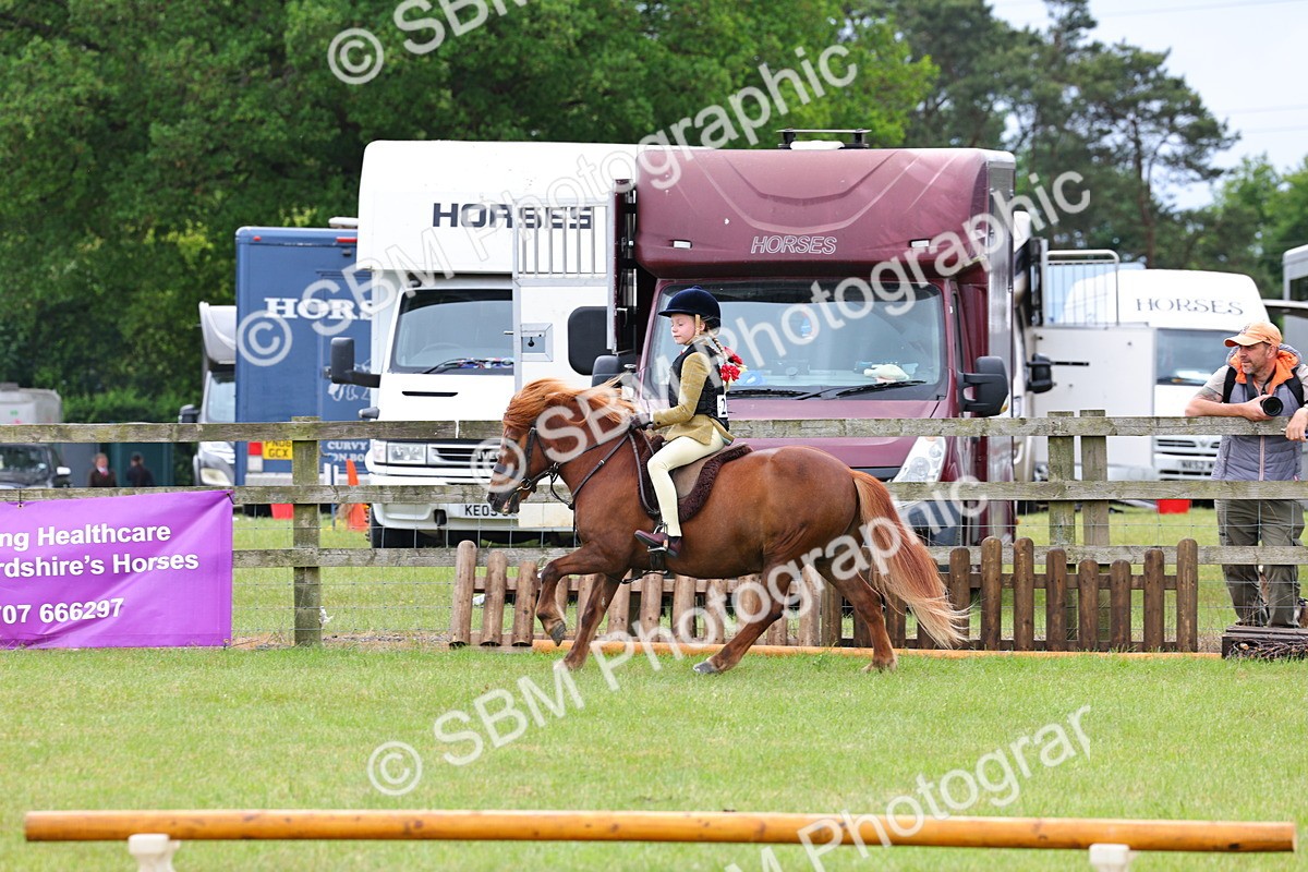 SBM_08643 - Class 42-43 - LIHS BSPS Heritage Working Sports Pony