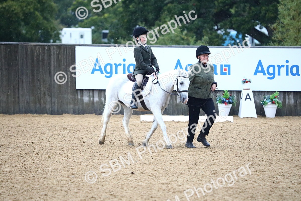 SBM_34612 - D26 - Starters Lead Rein