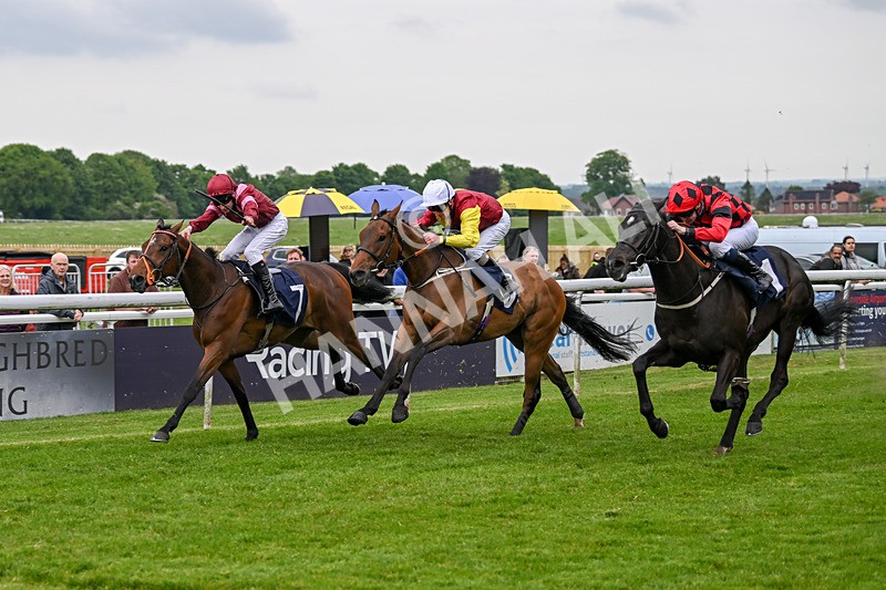 140524-Race 6-Flickering Halo-2734 - Race 6