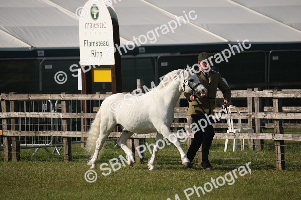 SBM_10337 - Class 33-38 - SSADL RIHS Qualifiers