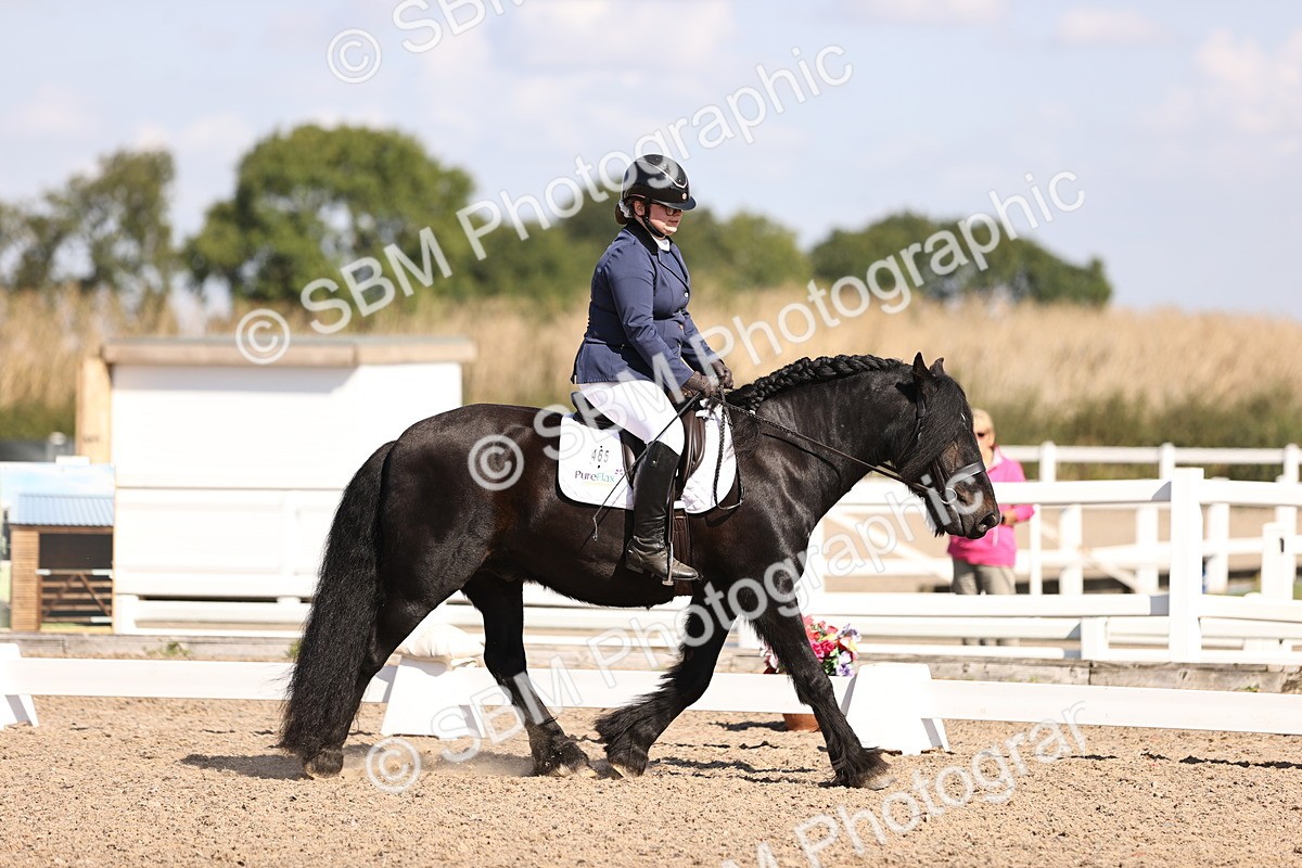 SBM_03524 - CLass 35 Intro 3