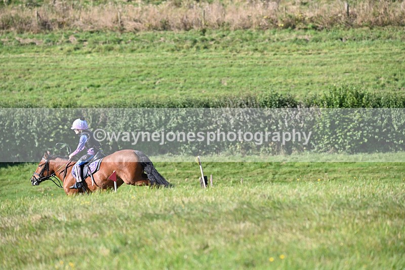 WJ6_6634 - Time 10:21 to 10:35