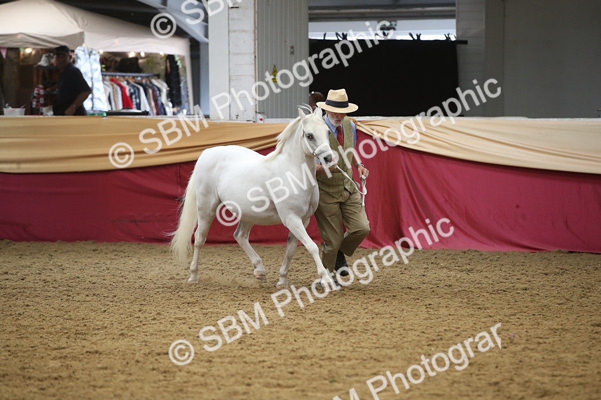 SBM_05673 - Class 9R - Regional IH Pre-Vet