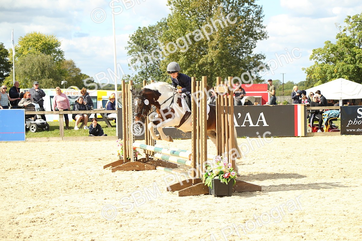 SBM_39501 - J6 - Junior Pony 55cm Championships