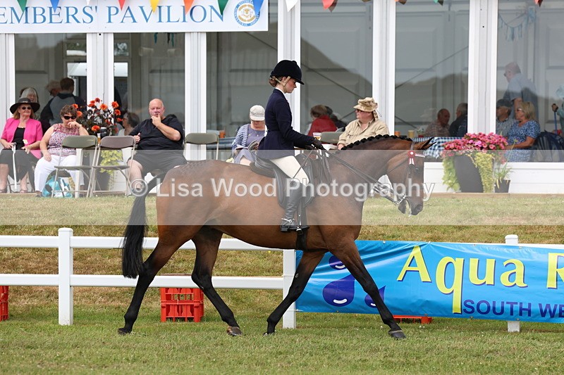 3E7A0809 - Class 8: Open Riding Horse/Hack