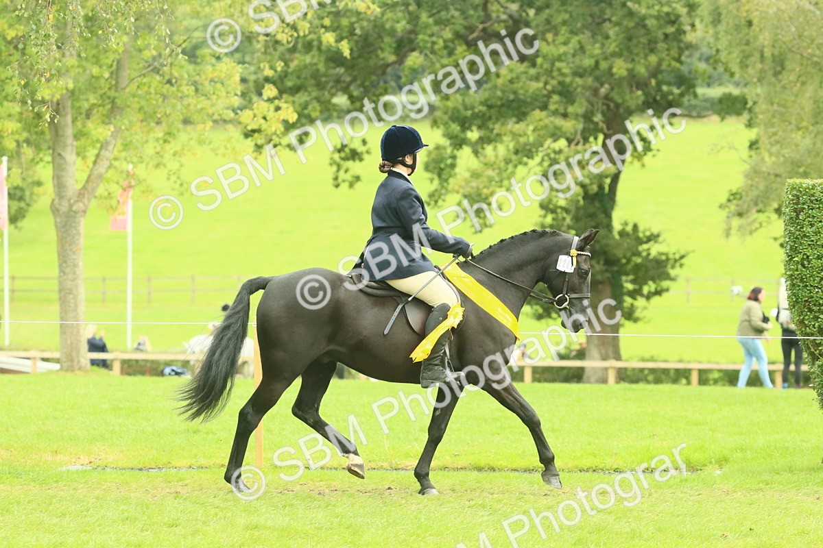 SBM_74985 - Ridden Pony Supreme Championship