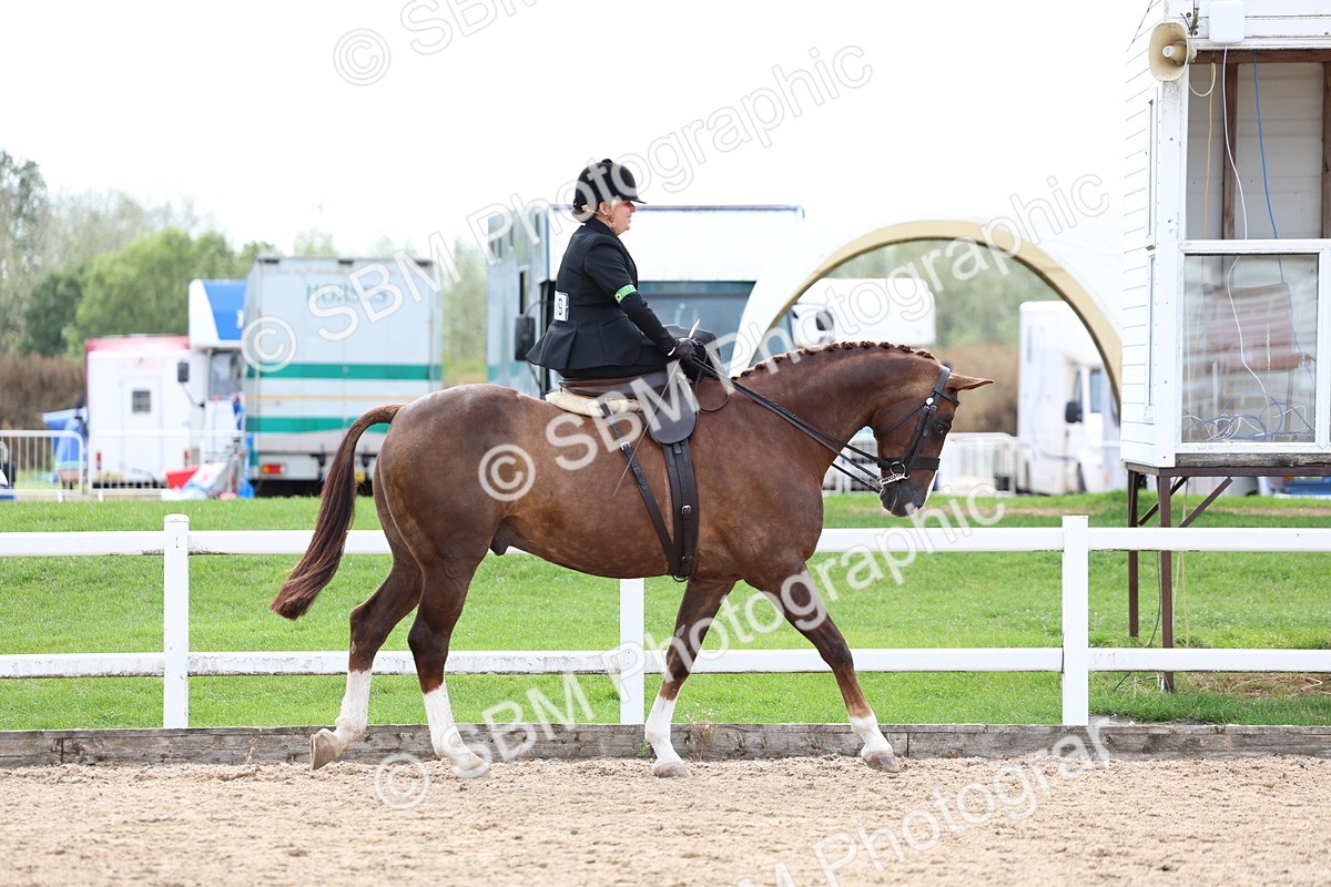 SBM_03381 - Class 24 - SSA Concours d'elegance (any age)