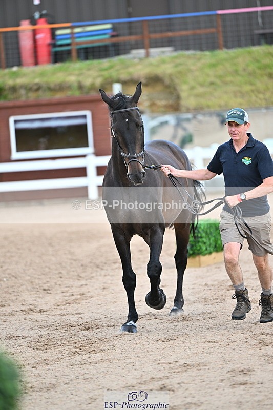 240718A-105325-01981 - Trot Up 2pm to 3pm - This folder is not in time order