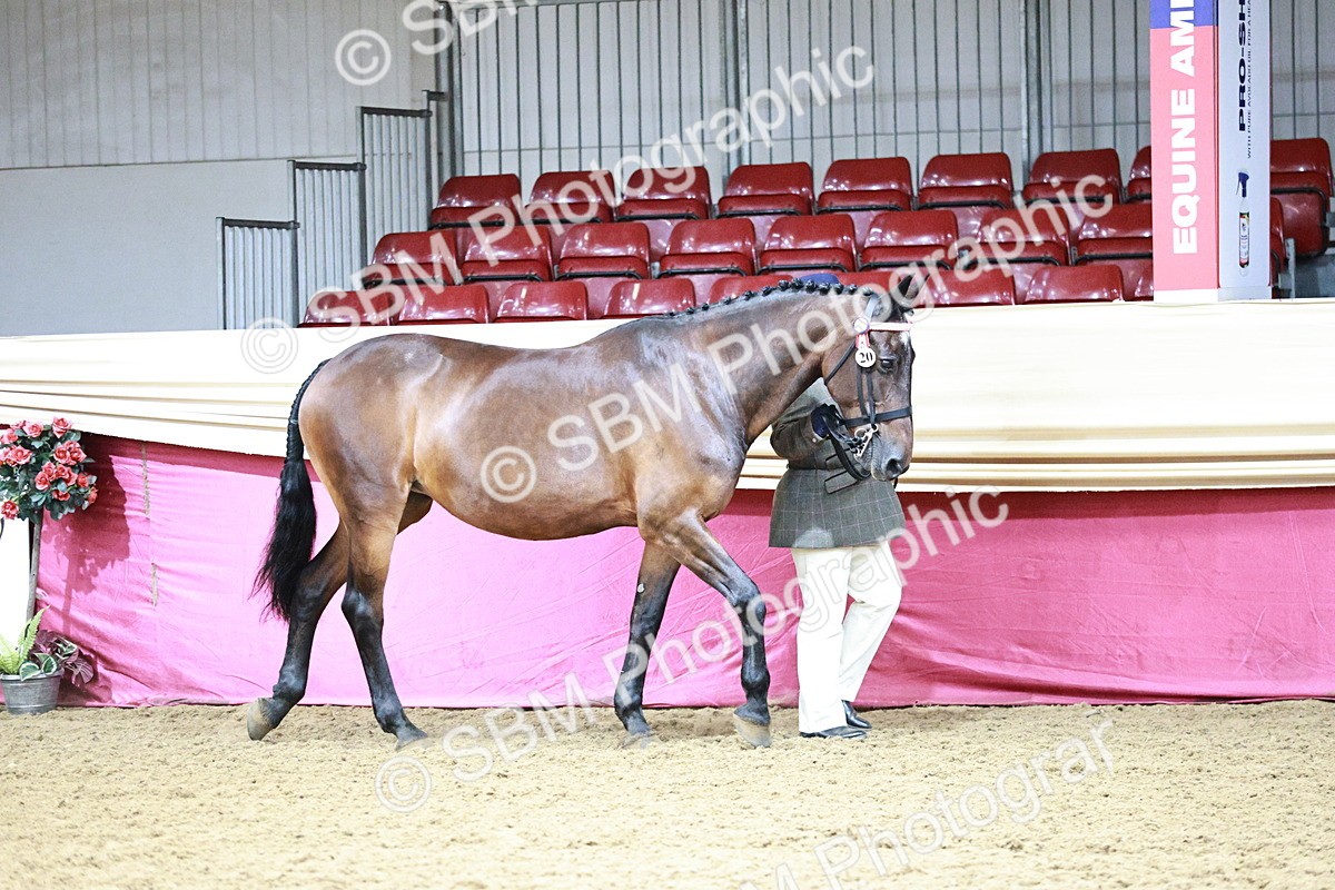 SBM_00831 - Class 2A - Area IH Veteran
