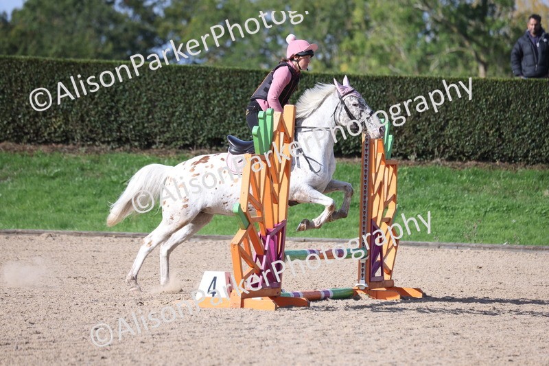 20251005-0251 - Class 3 - 60cm