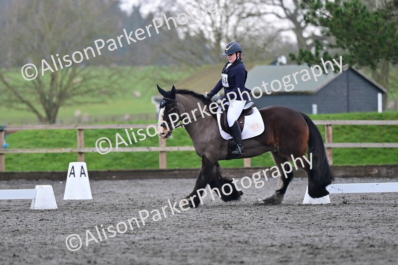 20260125-3797 - Class 12 - Novice