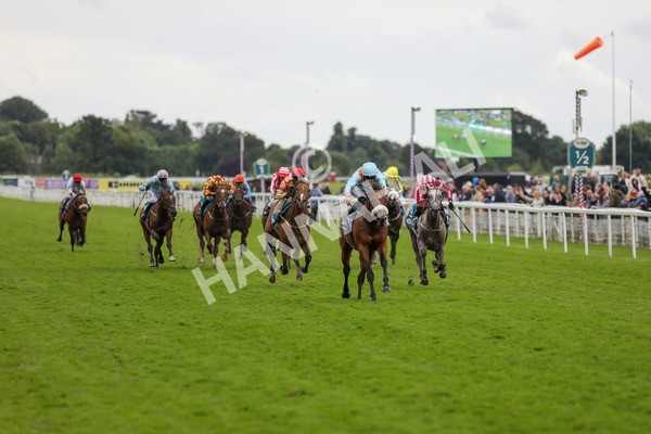 150624-Race 5-The Strikin Viking-6182 - Race 5 4.10pm Reg Griffin Appreciation ebfstallions.com Maiden Stakes