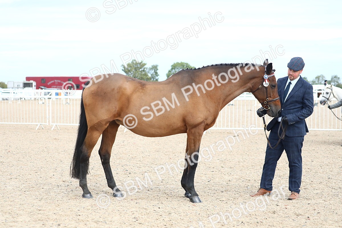 SBM_18929