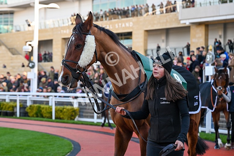 141224-Race 4-Madara-0677 - Race 4